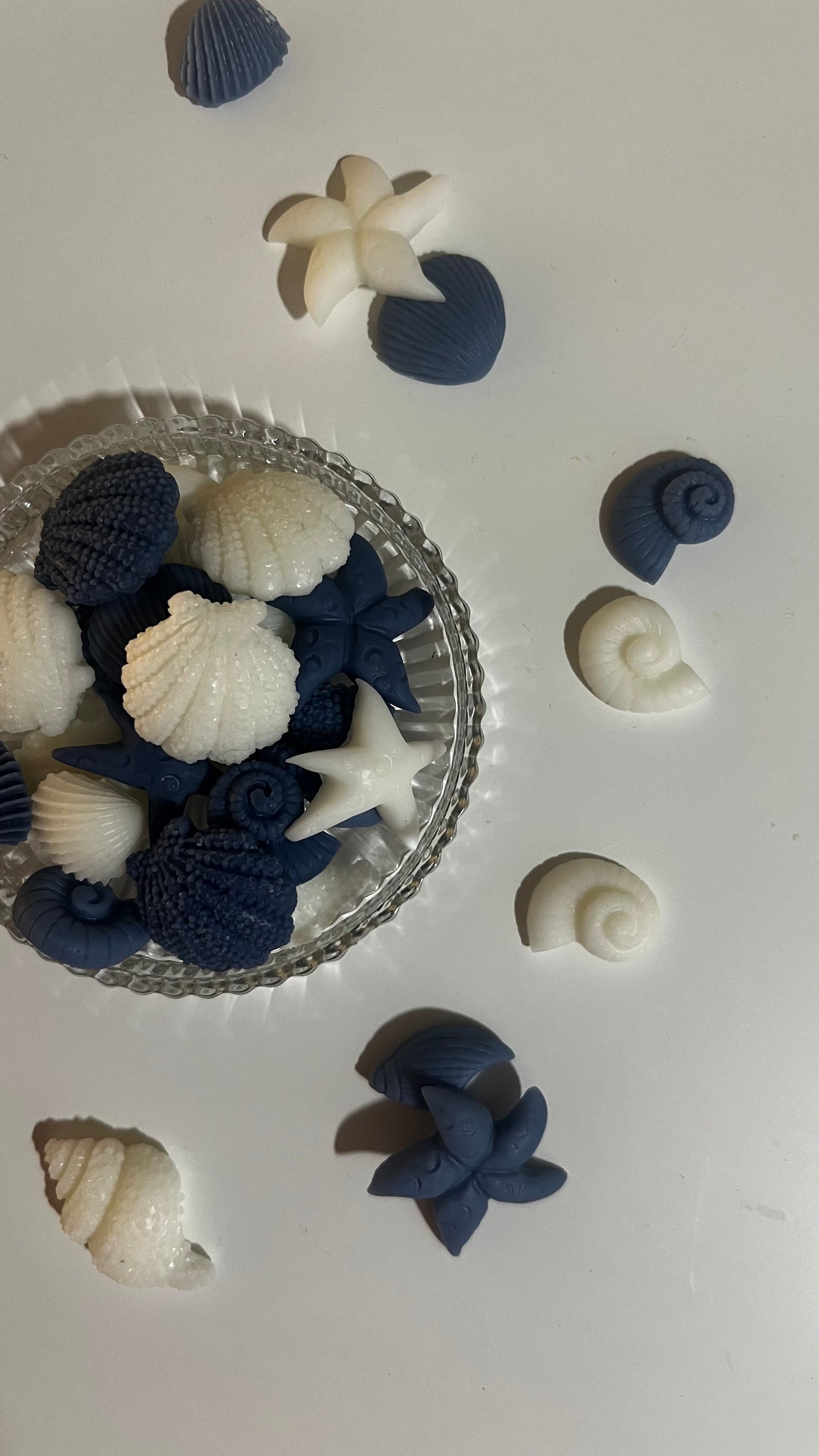 Cialdine conchiglia