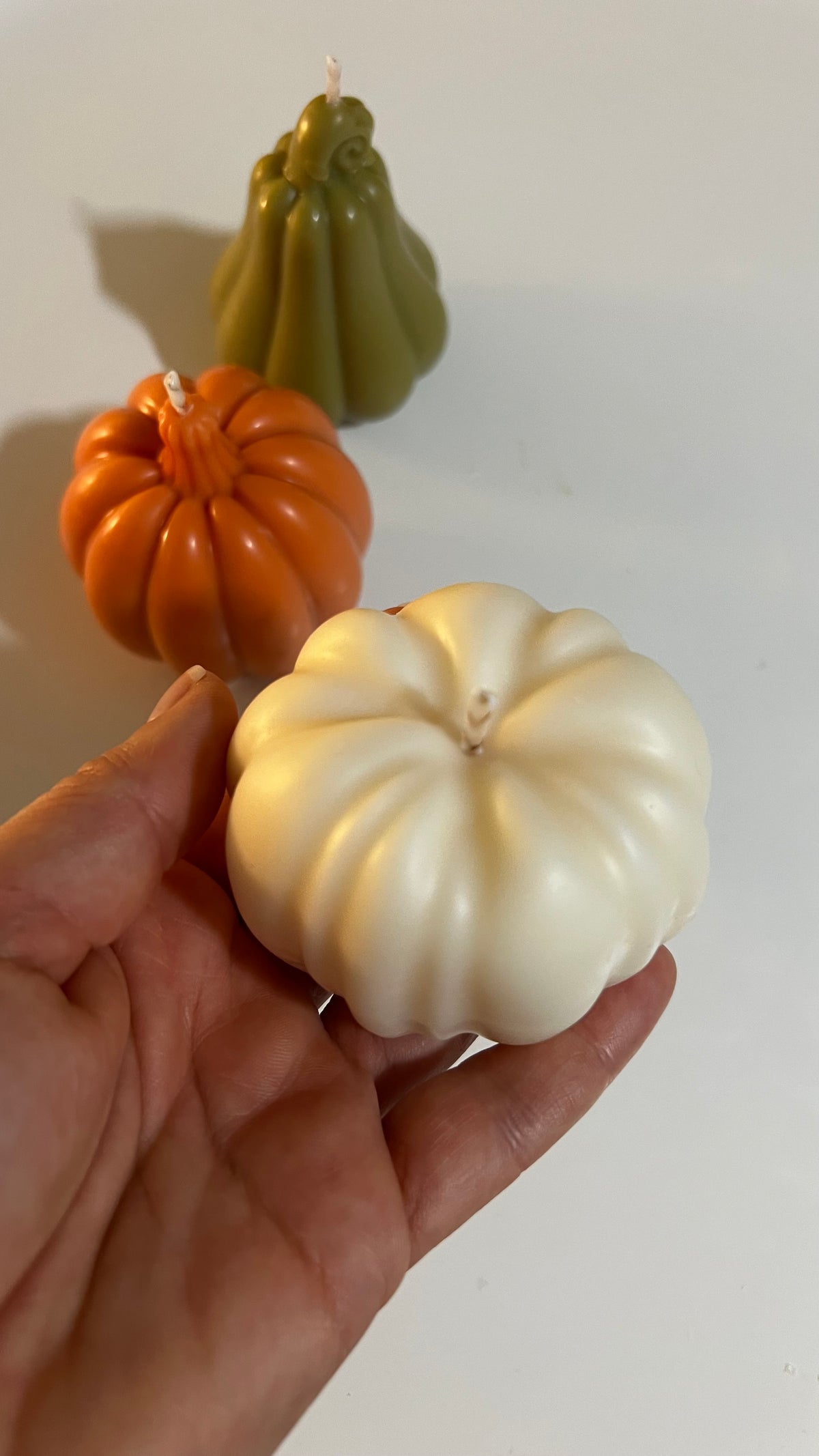 Candela zucca