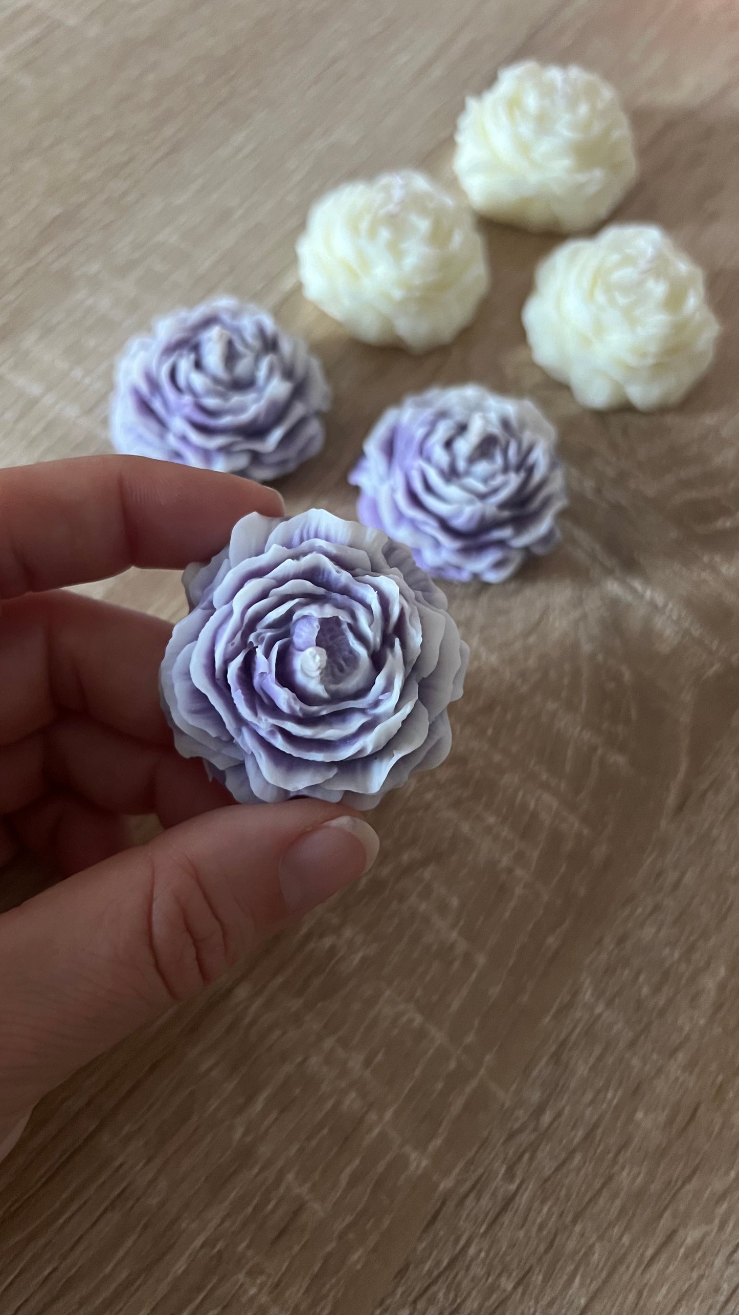 Mini peonia