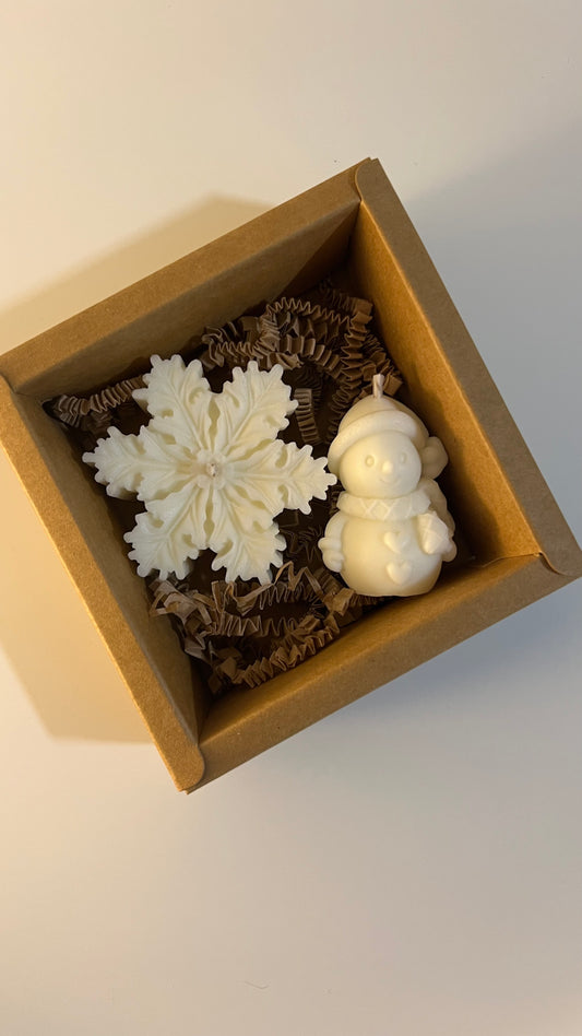 Mini winter box