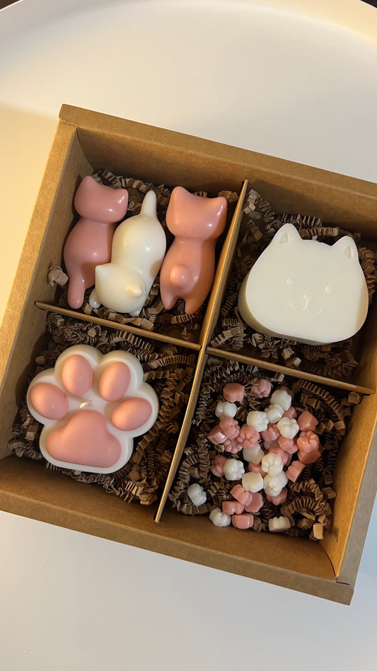 Kitty box