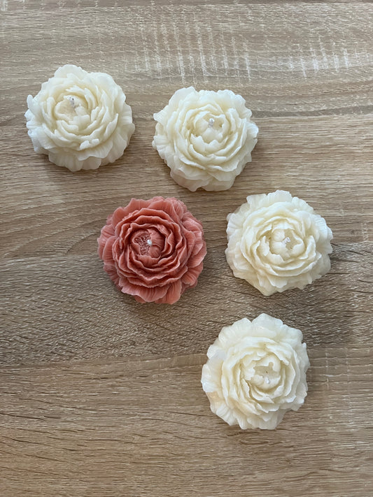 Candela peonia vari colori