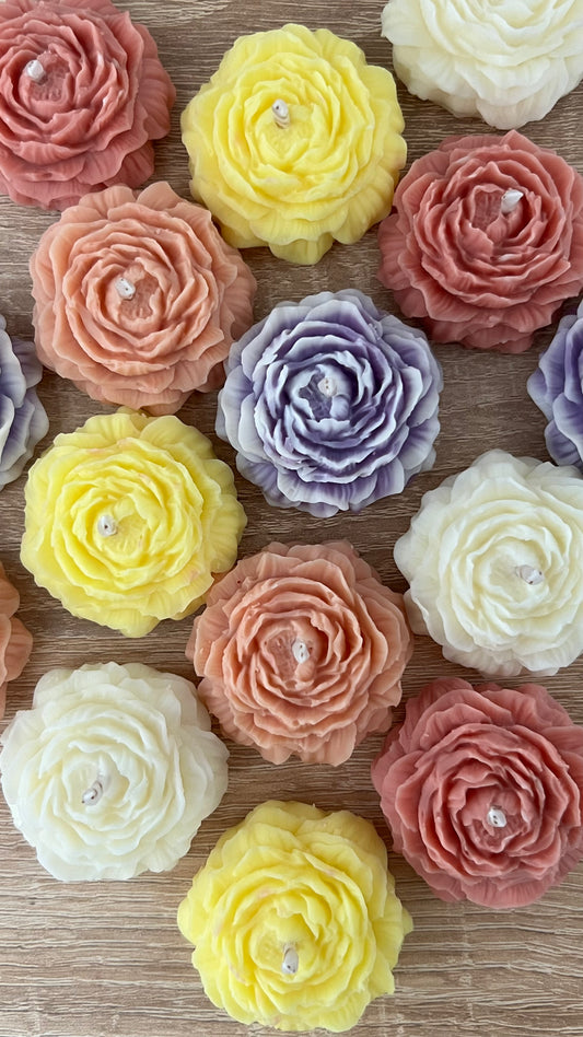 Mini peonia